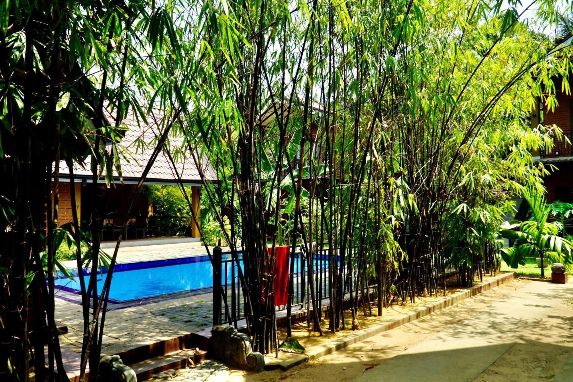 Millet'S Food Company And Cooking Center Otel Negombo Dış mekan fotoğraf