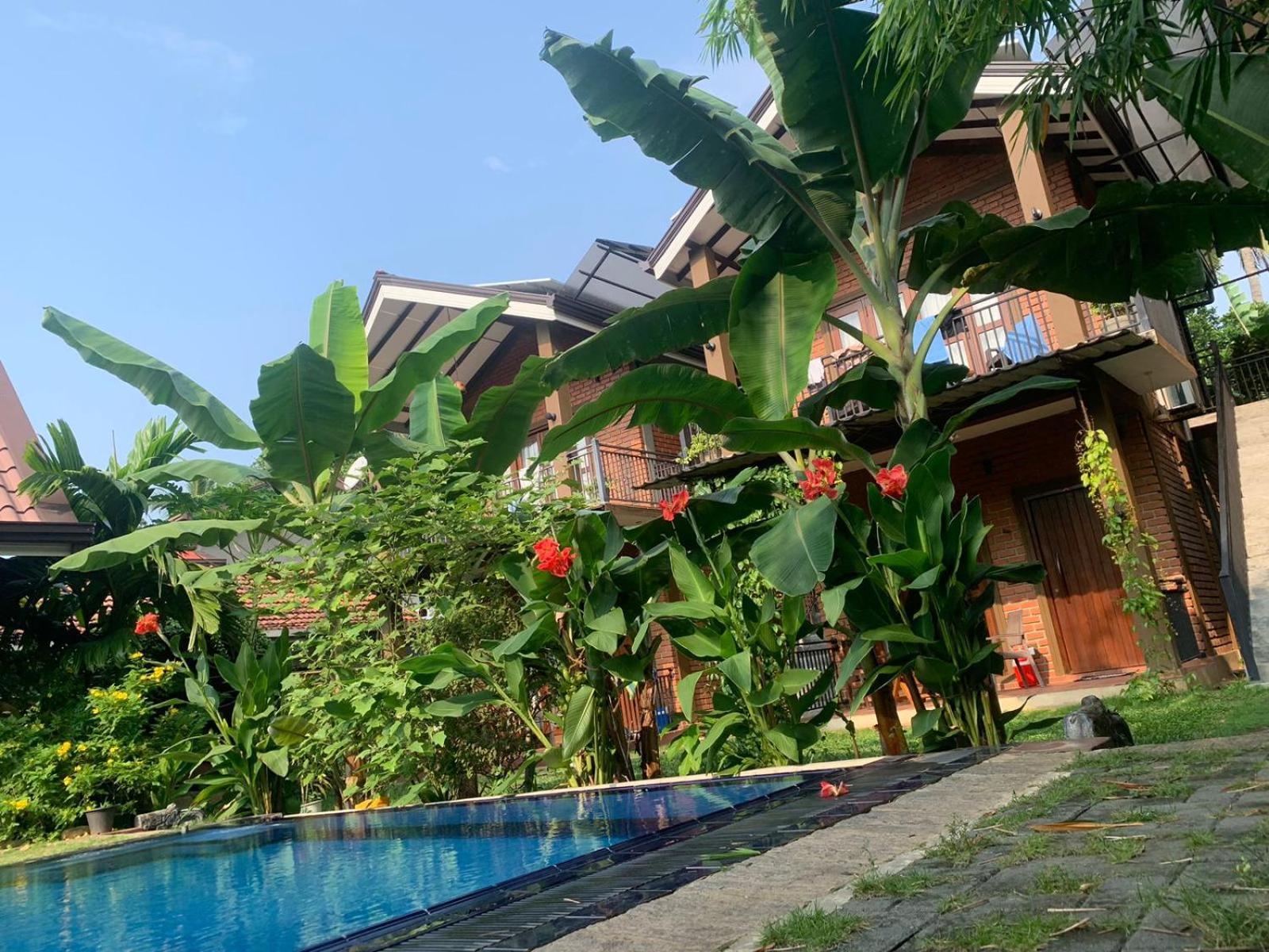 Millet'S Food Company And Cooking Center Otel Negombo Dış mekan fotoğraf